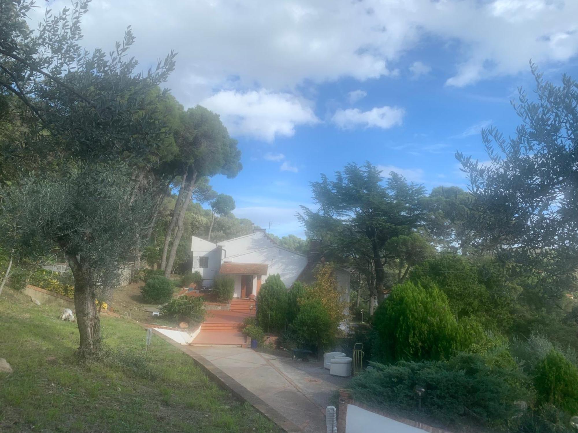 Villa Tara Quercianella Exterior foto